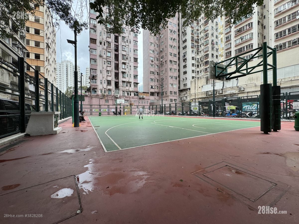 安兰阁 租盘 2 房 , 1 浴室 273 平方尺