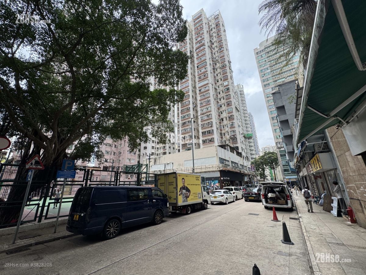 安兰阁 租盘 2 房 , 1 浴室 273 平方尺