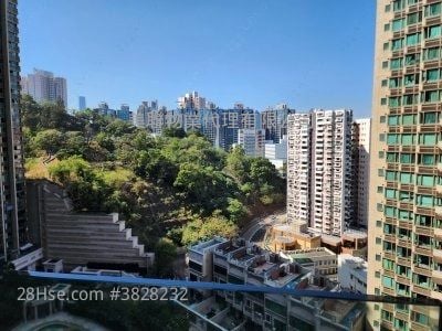 半山壹号 售盘 4 房 1,567 平方尺