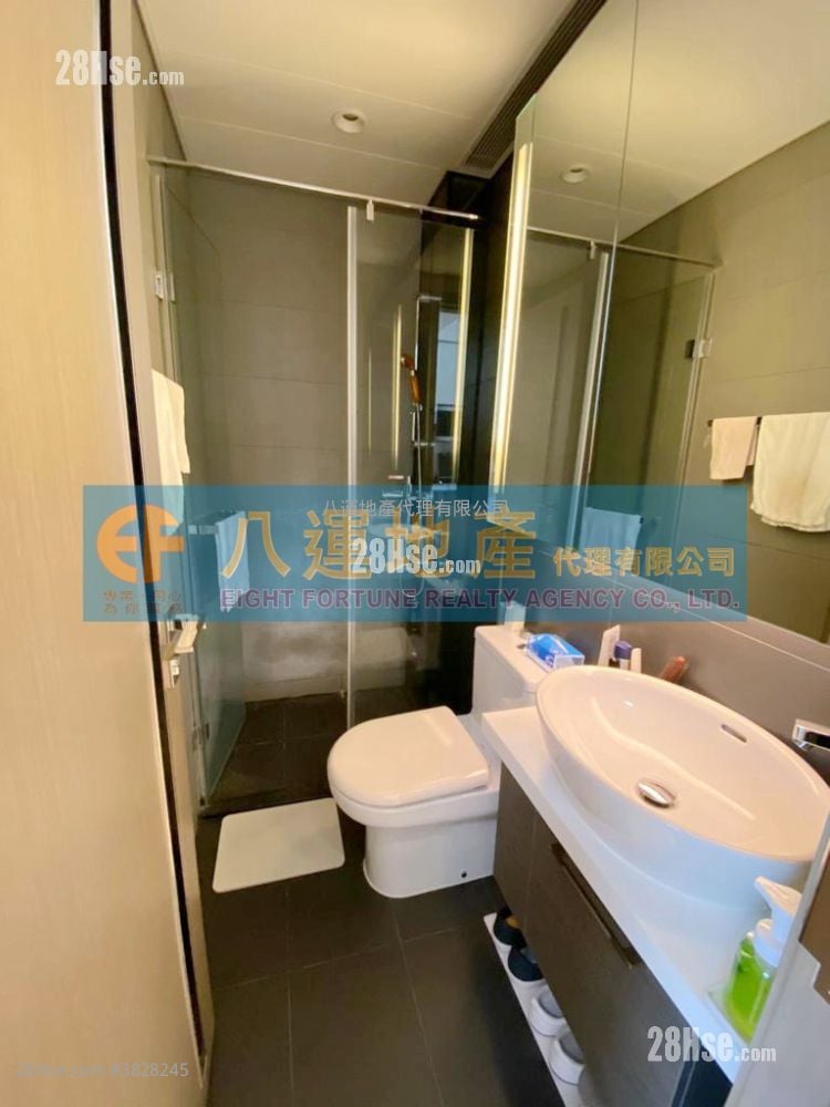 青荟 售盘 1 房 , 1 浴室 226 平方尺