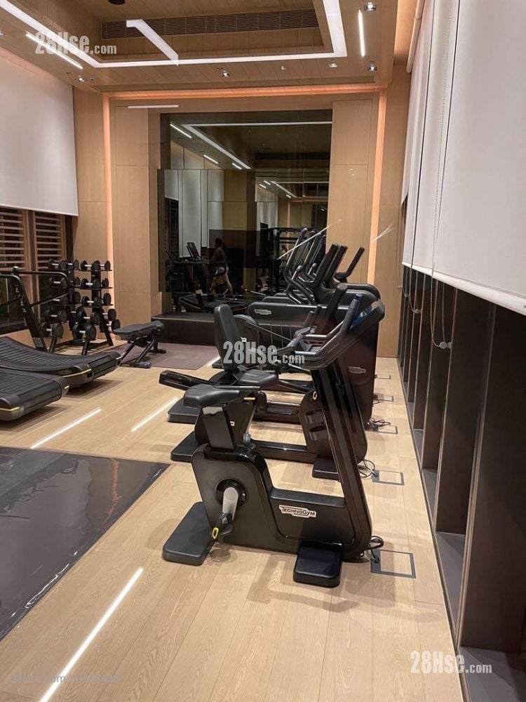 維峯浚匯 租盤 1 房 , 1 浴室 270 平方呎