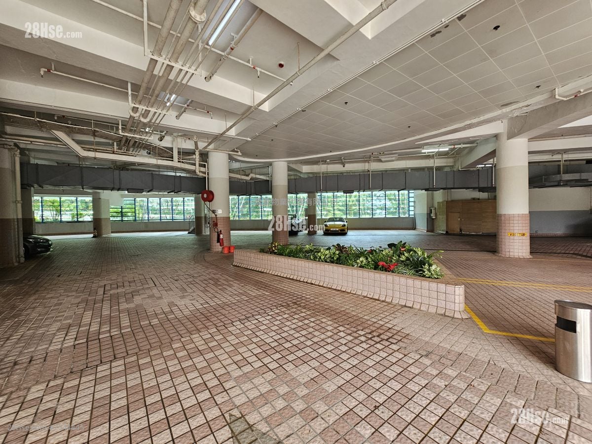 堪仕達道1-3號 租盤 3 房 , 4 浴室 2,155 平方呎