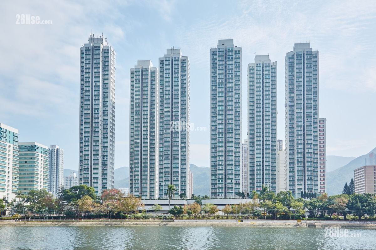 一手延续大盛景 楼市料破「5穷月」