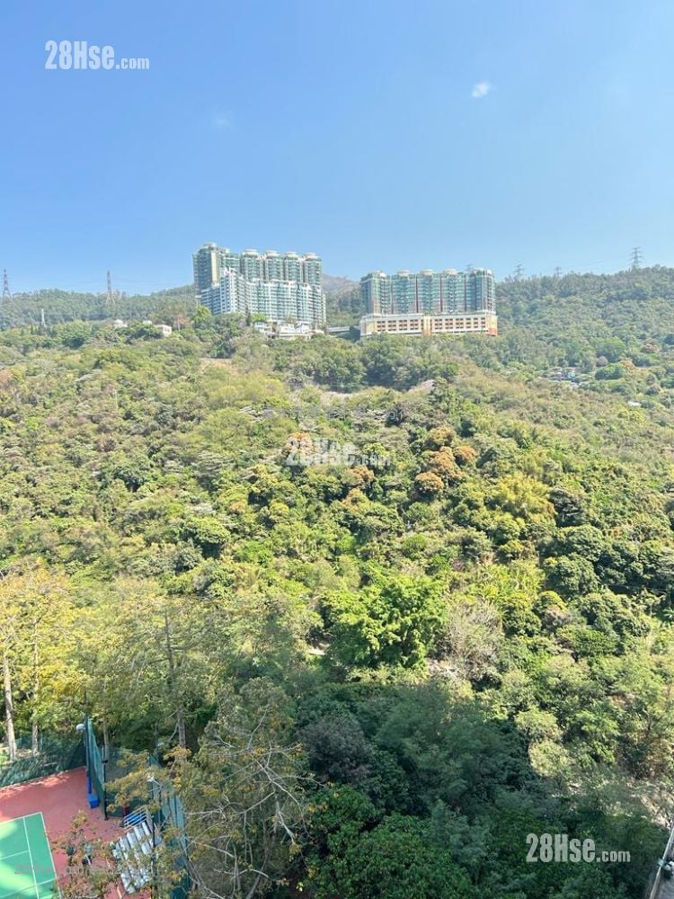 荃湾中心 租盘 2 房 374 平方尺