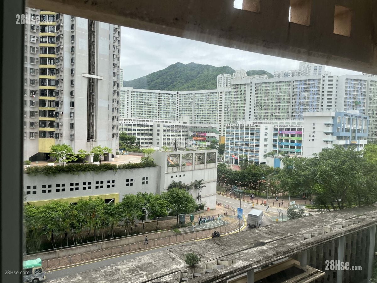 Verbena Heights Rental 2 Bedrooms , 1 Bathroom 495 ft²