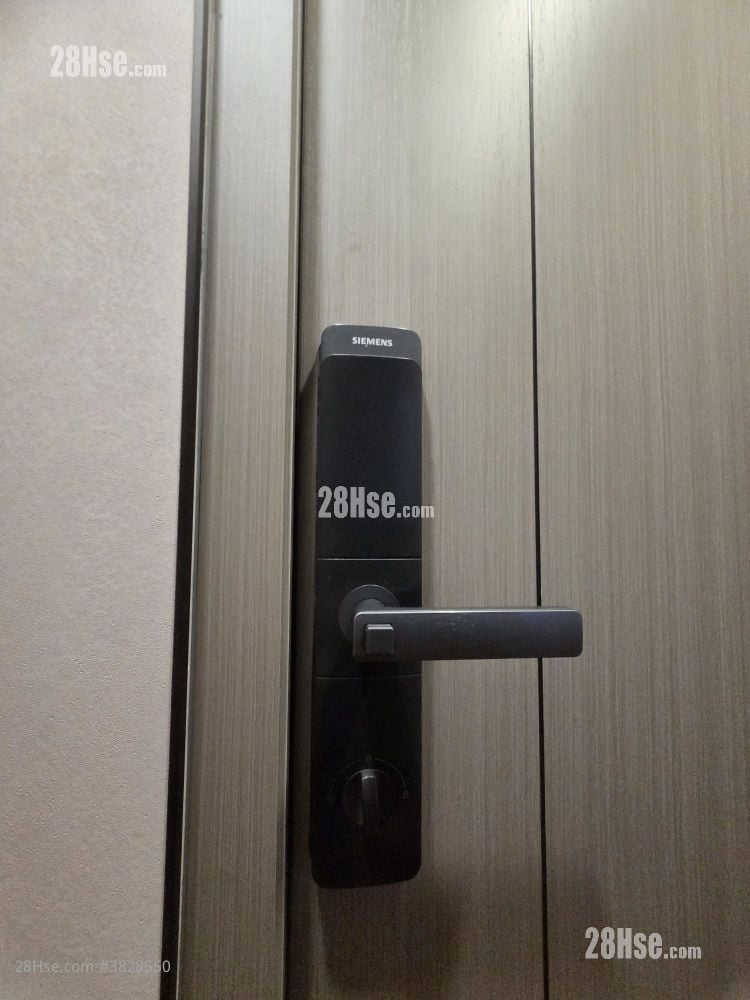 Golden Dragon Industrial Centre Rental 1 Toilet