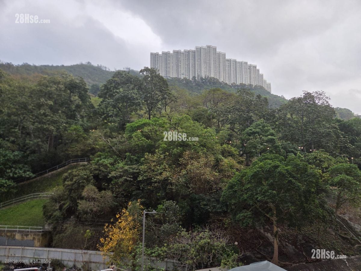 Golden Dragon Industrial Centre Rental 1 Toilet