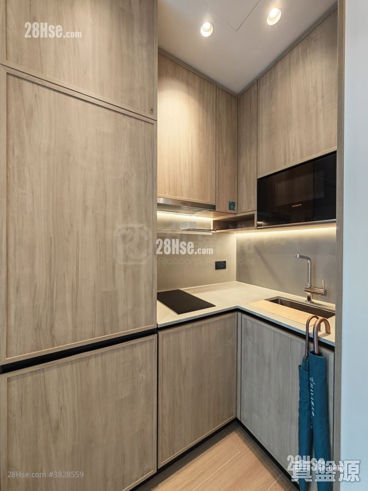 朗天峰 售盘 1 房 291 平方尺