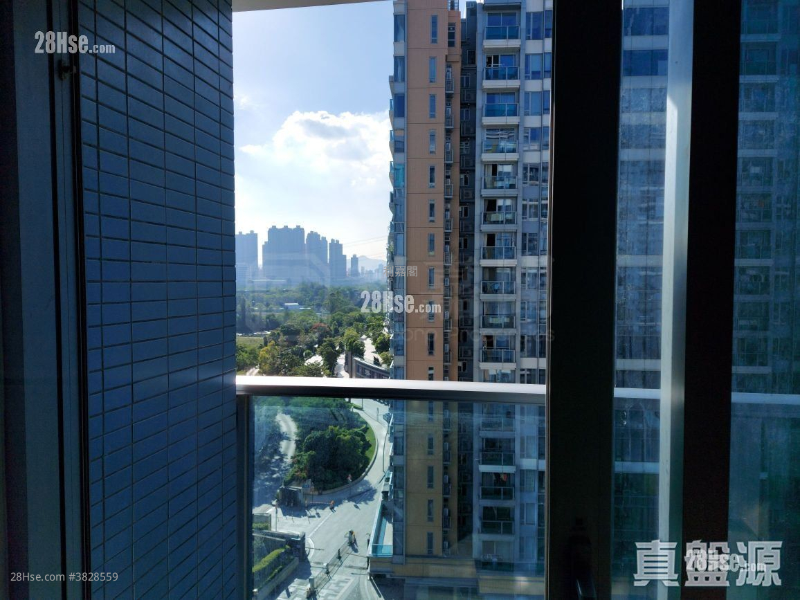 朗天峰 售盘 1 房 291 平方尺