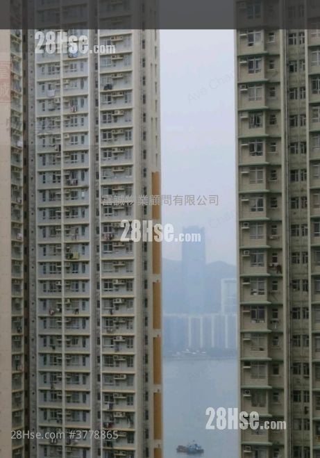 油翠苑 售盤 401 平方呎