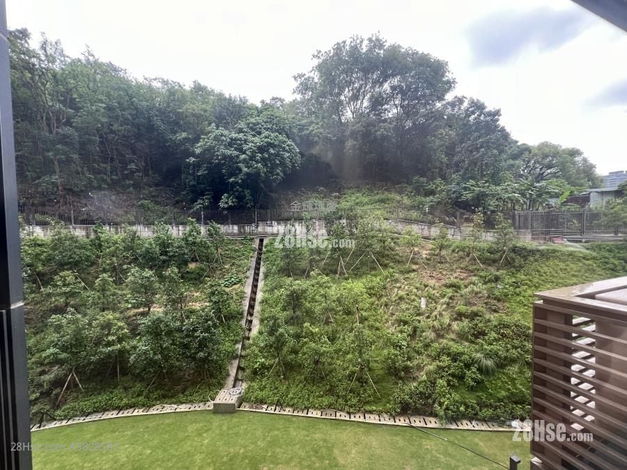 飞扬 租盘 281 平方尺