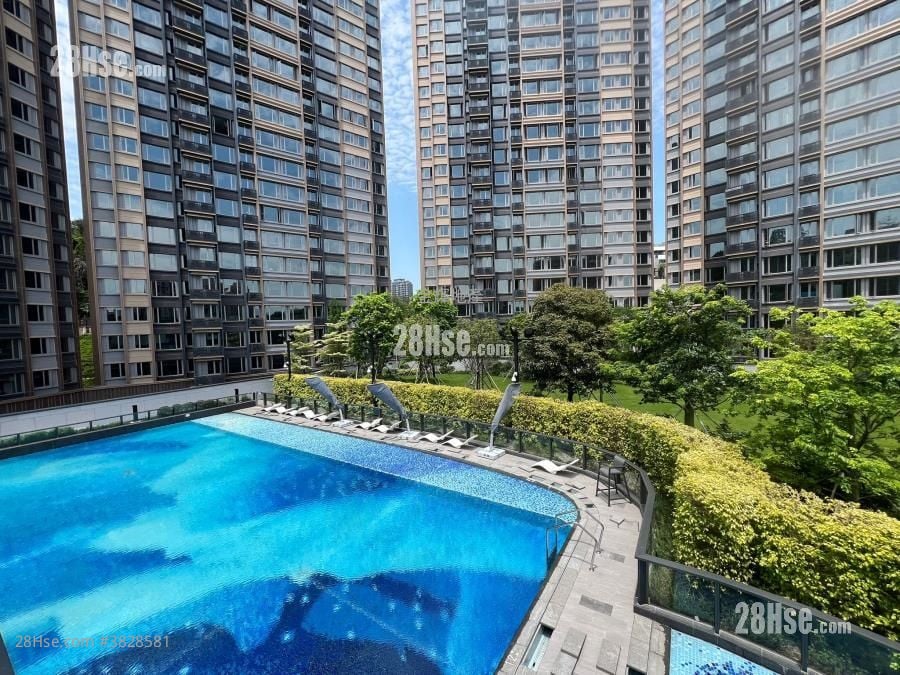 飞扬 租盘 281 平方尺