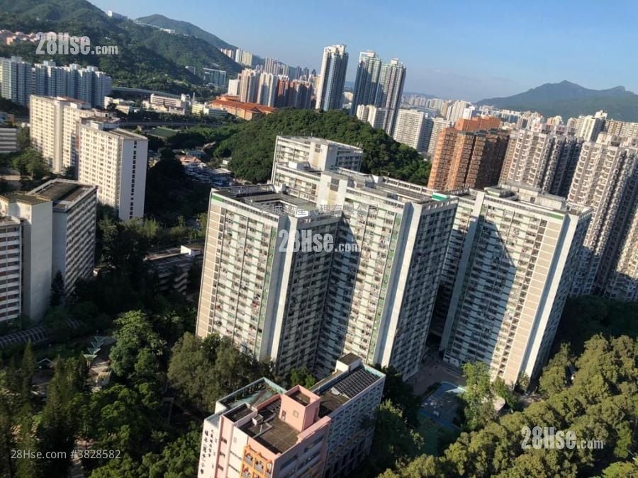 金狮花园 租盘 307 平方尺