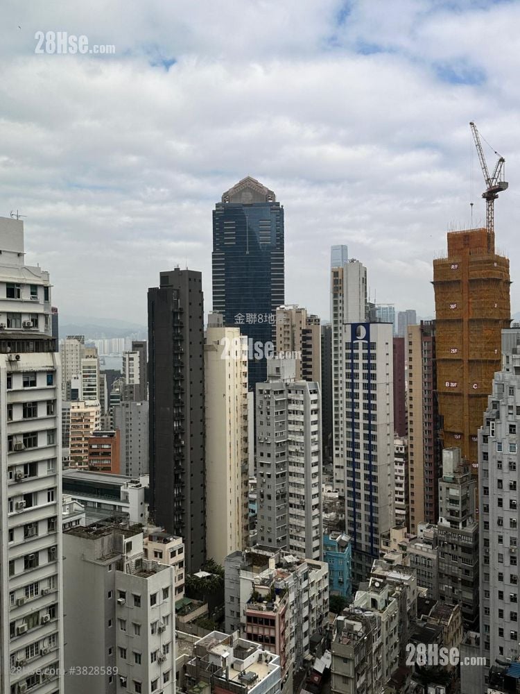 Caine Hill 租盘 1 房 , 1 浴室 289 平方尺