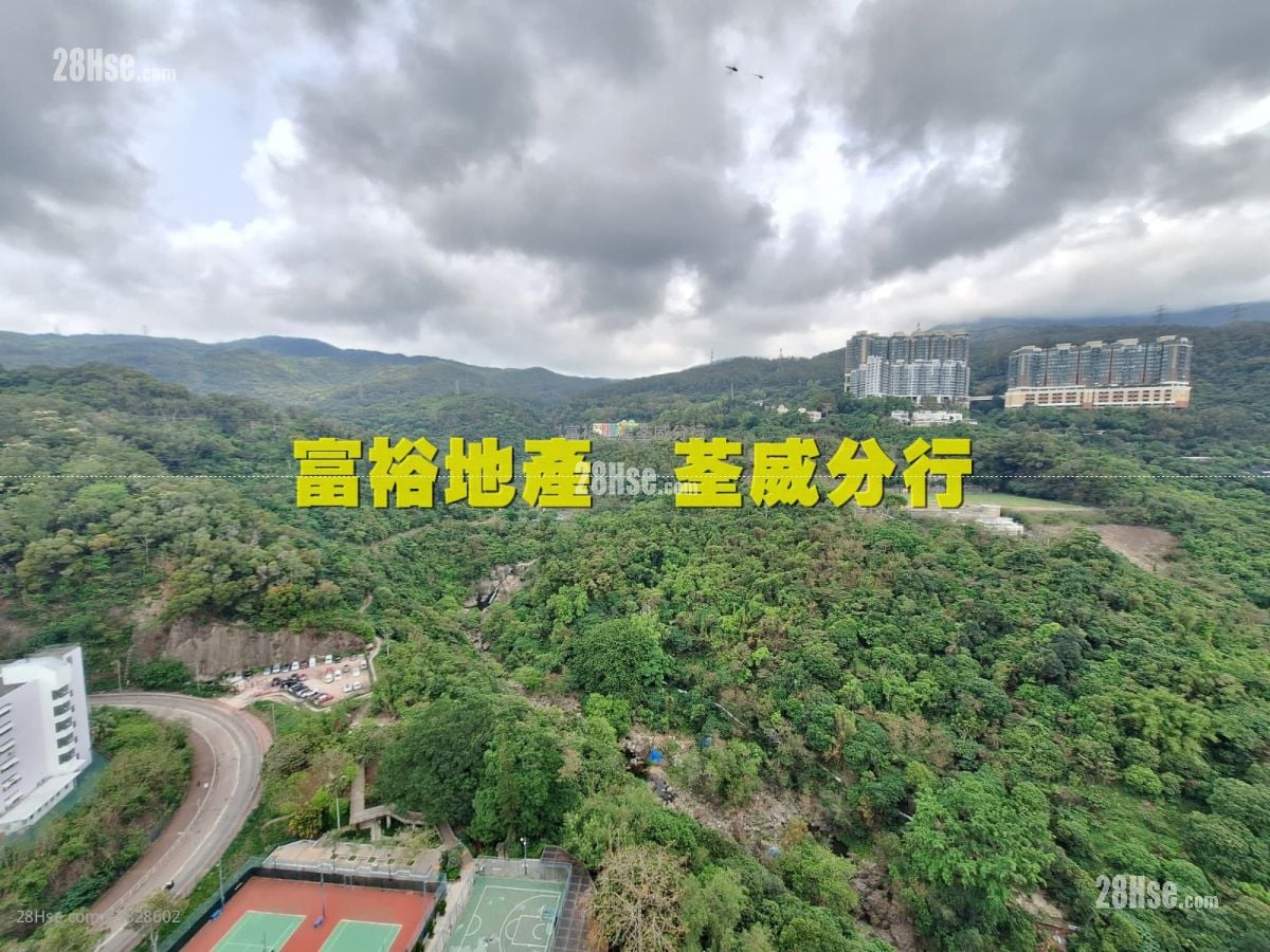 荃灣中心 租盤 1 房 , 1 浴室 290 平方呎