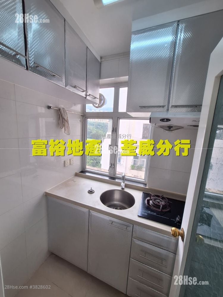 荃灣中心 租盤 1 房 , 1 浴室 290 平方呎