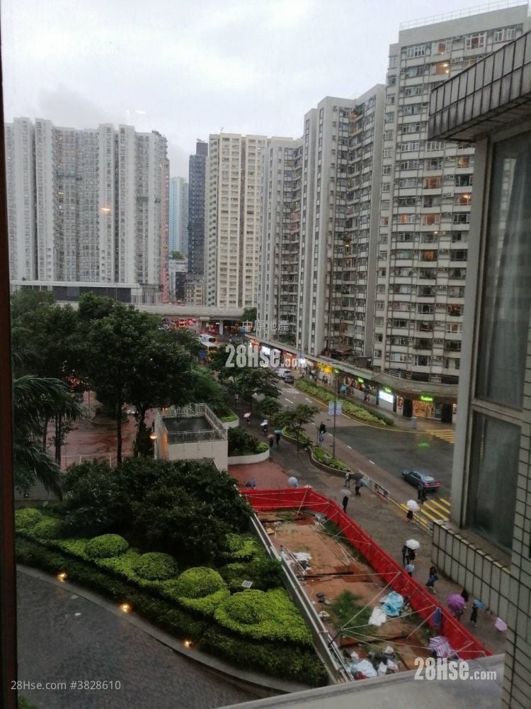 逸濤灣 租盤 2 房 , 1 浴室 549 平方呎