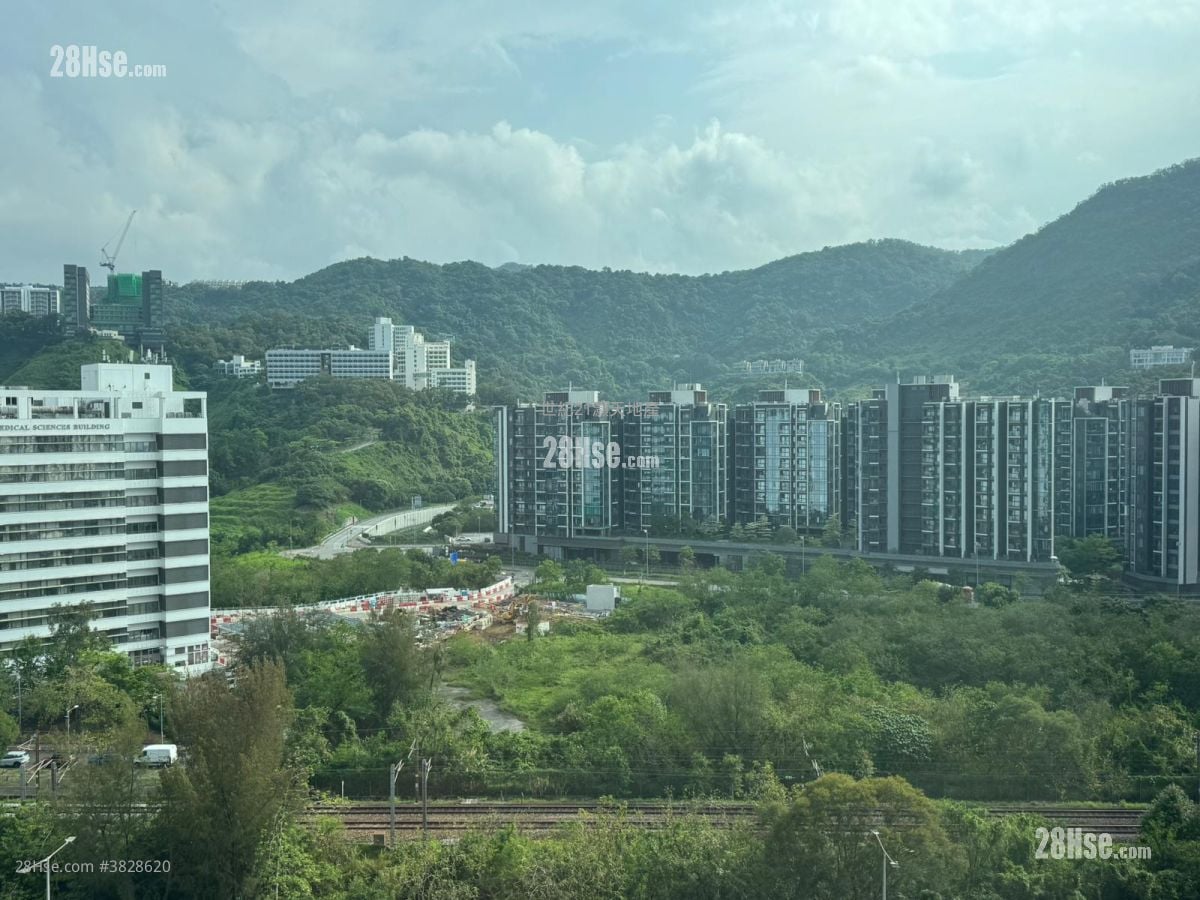 St Martin Rental 3 Bedrooms , 2 Bathrooms 781 ft²