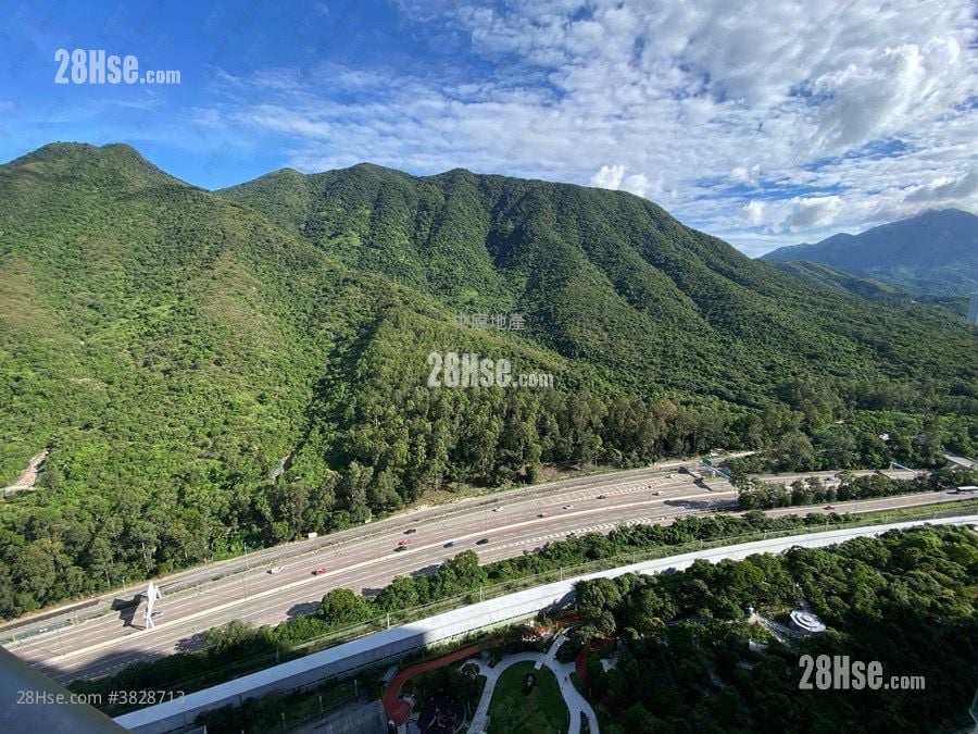 Caribbean Coast Rental 2 Bedrooms , 1 Bathroom 544 ft²