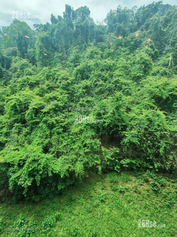 晓翠山庄 售盘 3 房 , 2 浴室 817 平方尺