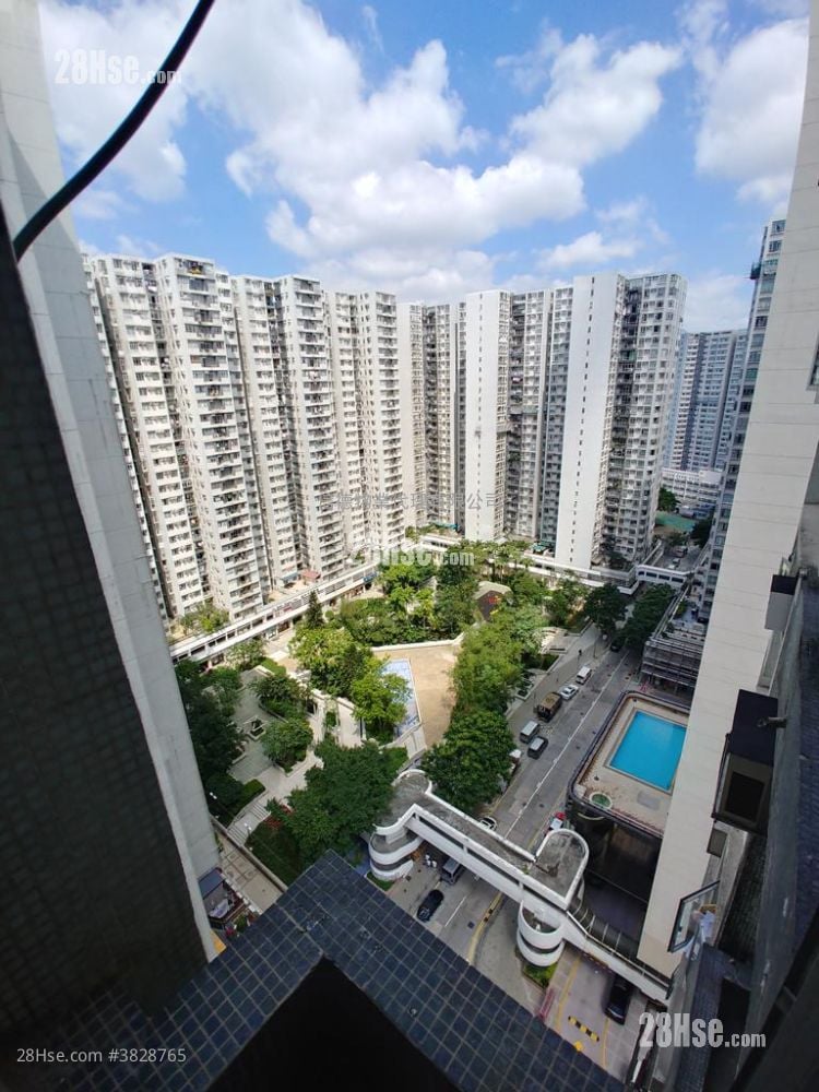 City Garden Rental 2 Bedrooms , 1 Bathroom 598 ft²