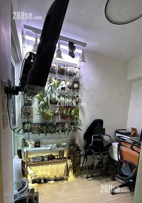 新達廣場 售盤 2 房 , 1 浴室 465 平方呎