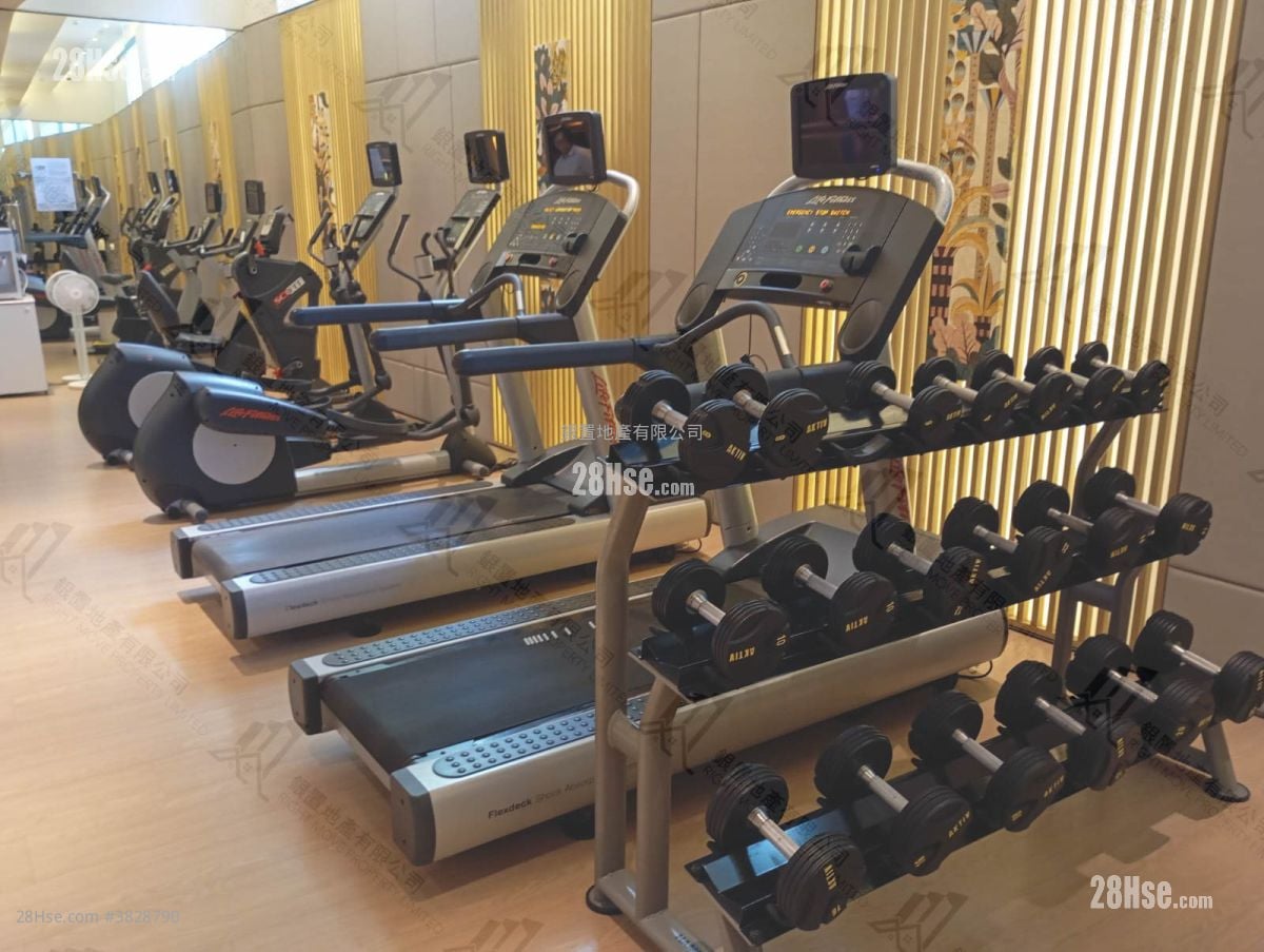 逸瓏海滙 售盤 1 房 , 1 浴室 409 平方呎