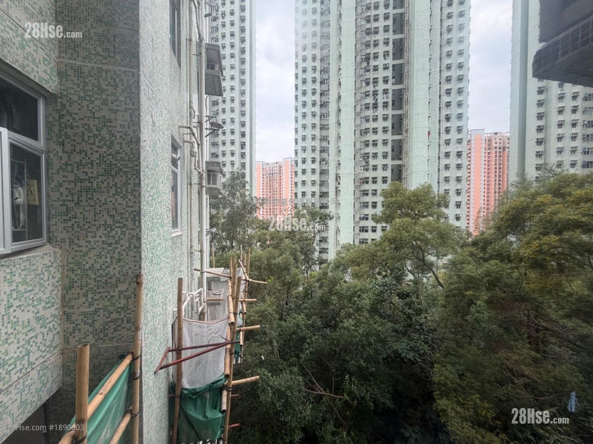 Saddle Ridge Garden Sell 592 ft²