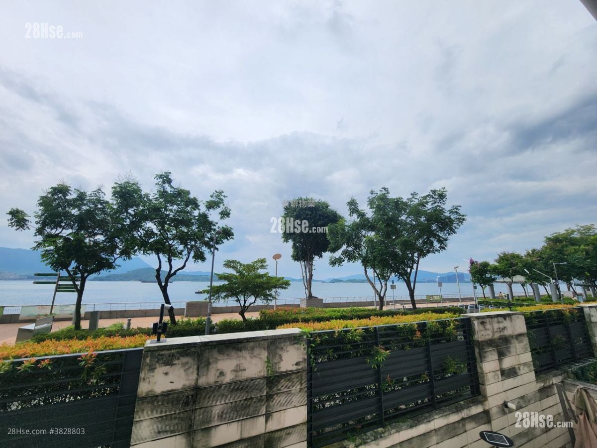 View: Providence Bay Sell 4 Bedrooms , 4 Bathrooms 1,696 ft²