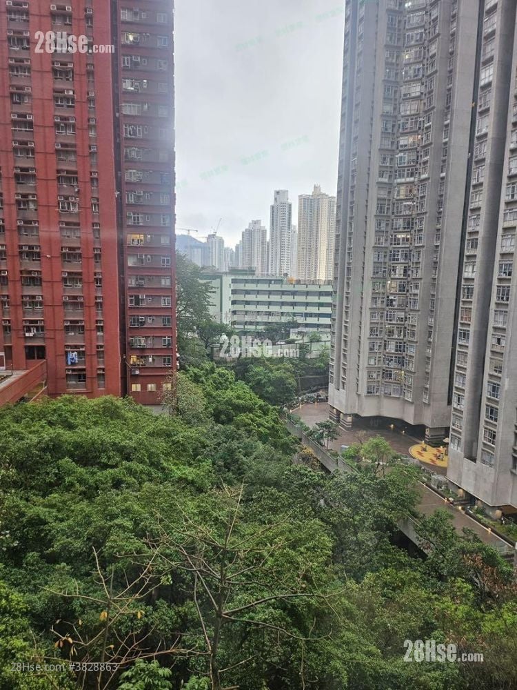 Hong Tin Court Rental 2 Bedrooms , 1 Bathroom 400 ft²