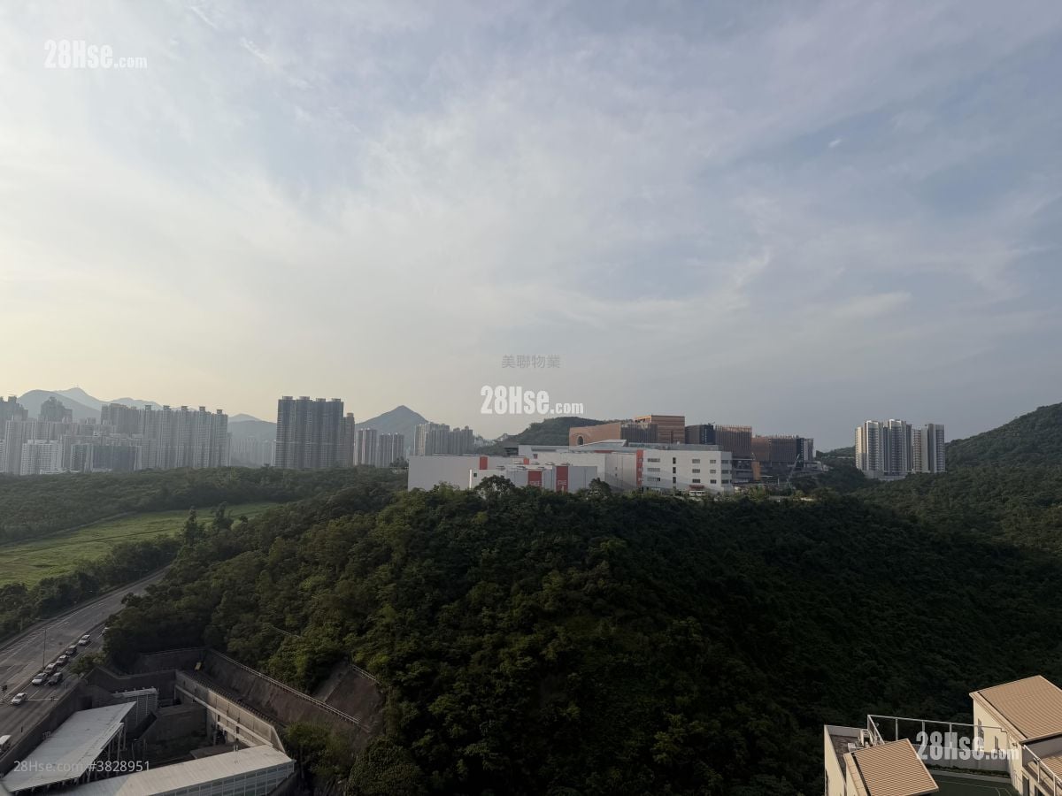 Manor Hill Rental 1 Bathroom 222 ft²