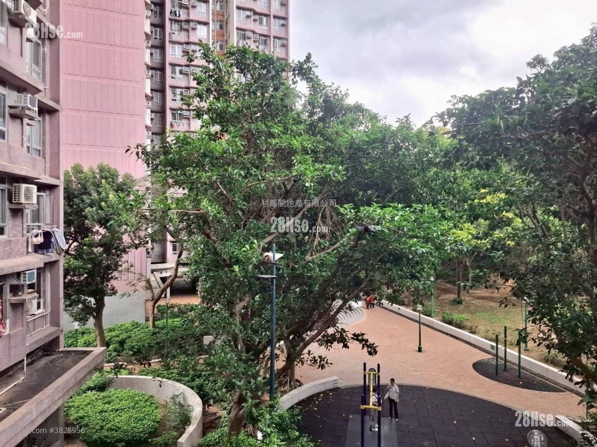 裕东苑 售盘 2 房 539 平方尺