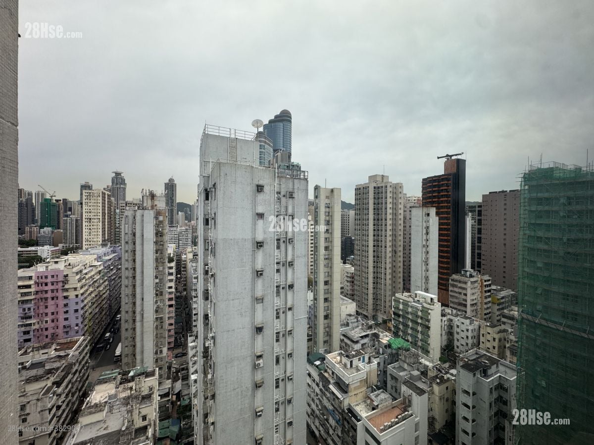 嘉兴商业中心 租盘 1 房 , 1 厕所