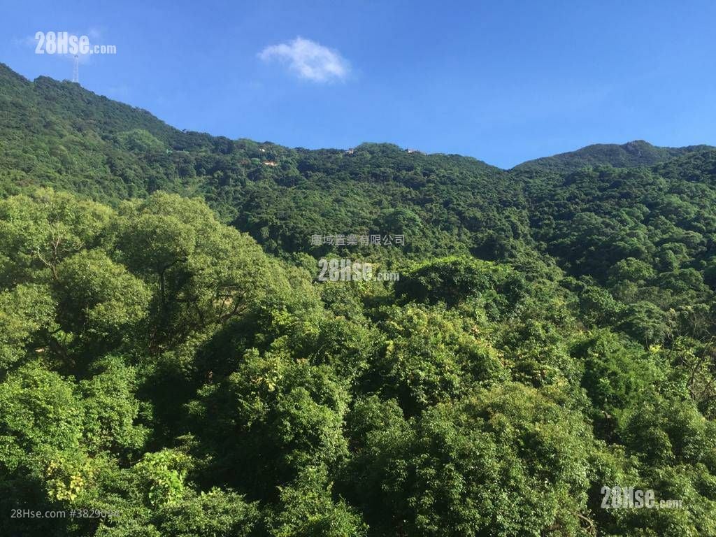 杏彤苑 售盤 3 房 , 2 浴室 1,177 平方呎