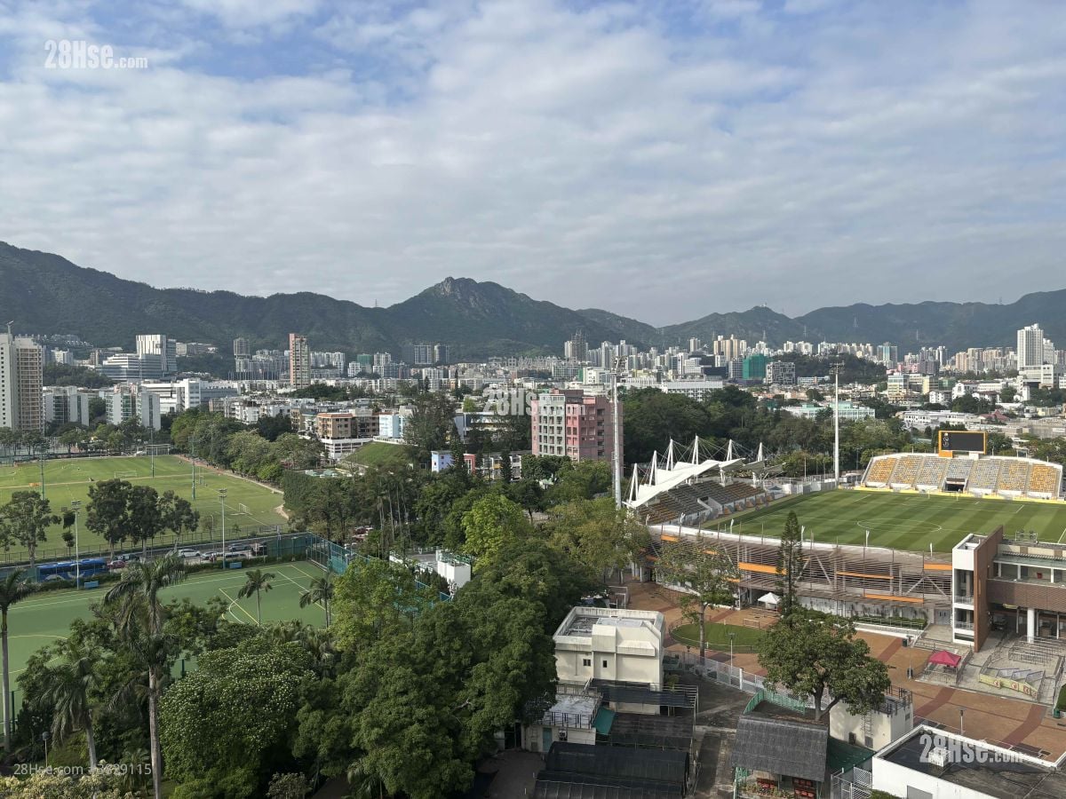 Kings Court Rental 1 Bedroom , 1 Bathroom 268 ft²