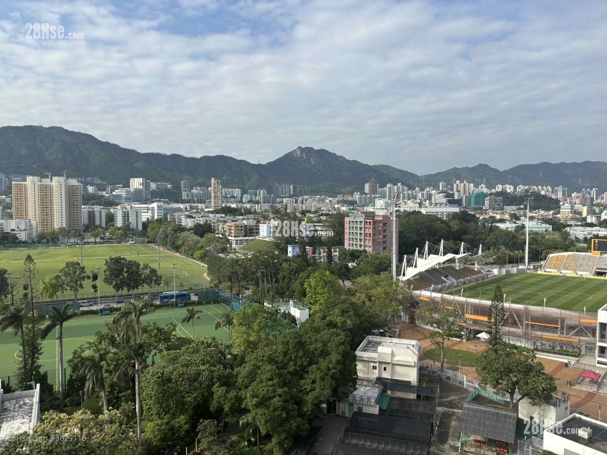 Kings Court Rental 1 Bedroom , 1 Bathroom 268 ft²