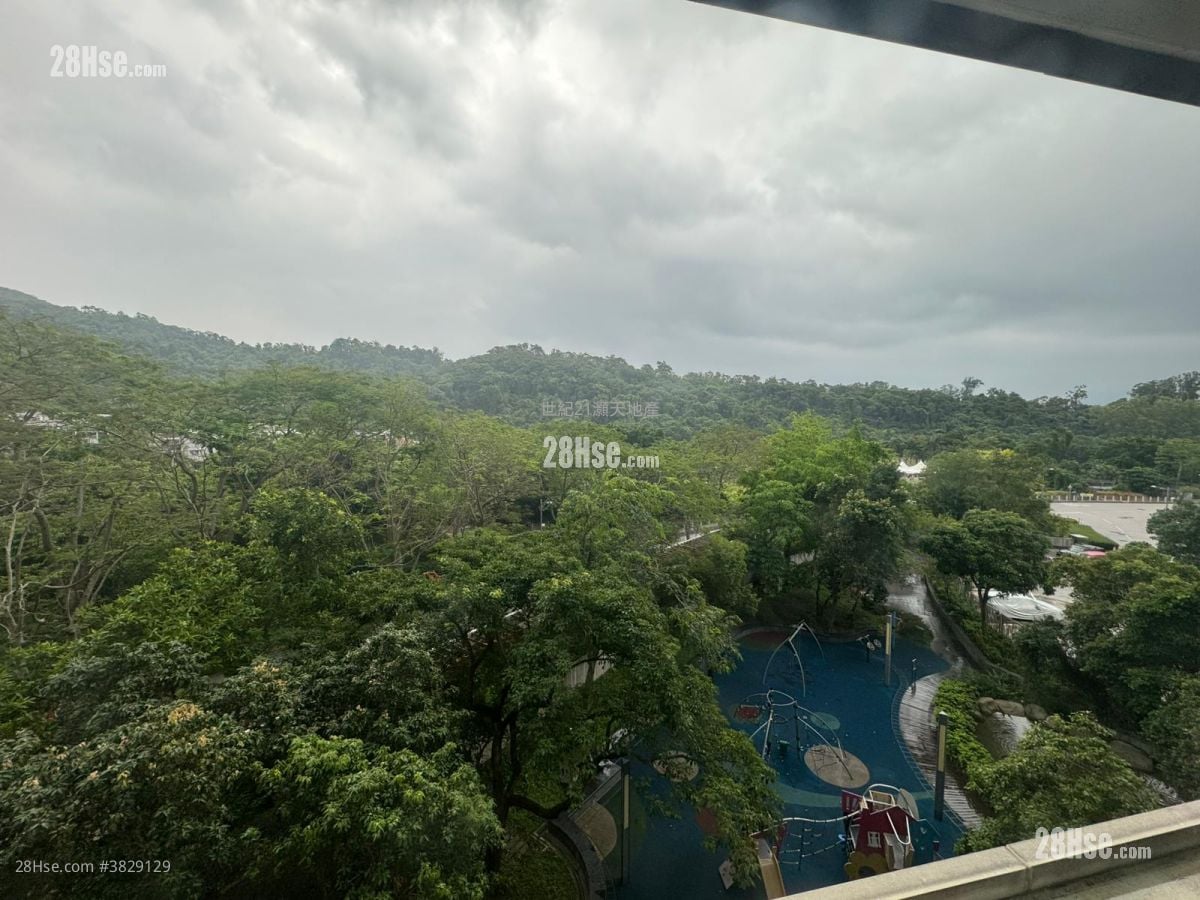 岚山 租盘 开放式间隔 , 1 浴室 196 平方尺