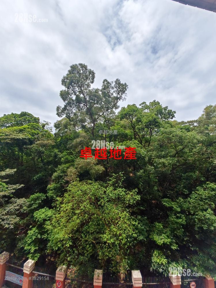 聚龍居 租盤 3 房 , 3 浴室 942 平方呎