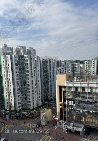 Whampoa Garden Rental 2 Bedrooms 503 ft²