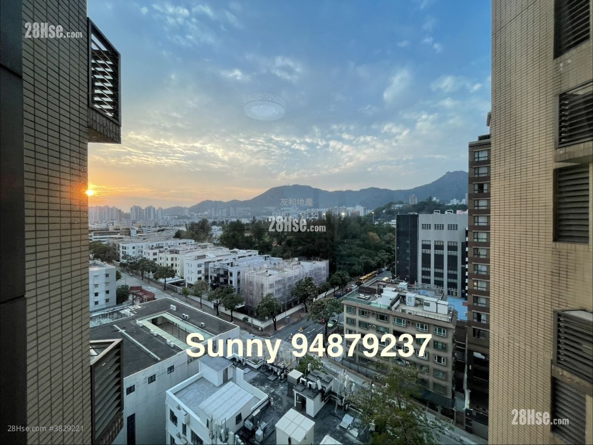 The Bloomsville Rental 3 Bedrooms , 2 Bathrooms 772 ft²