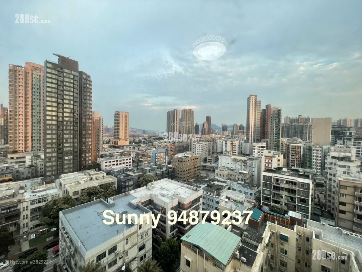 The Bloomsville Rental 3 Bedrooms , 2 Bathrooms 772 ft²