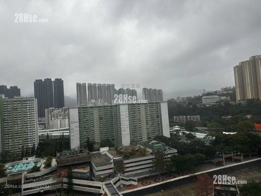 美城苑 售盘 开放式间隔 , 1 浴室 490 平方尺