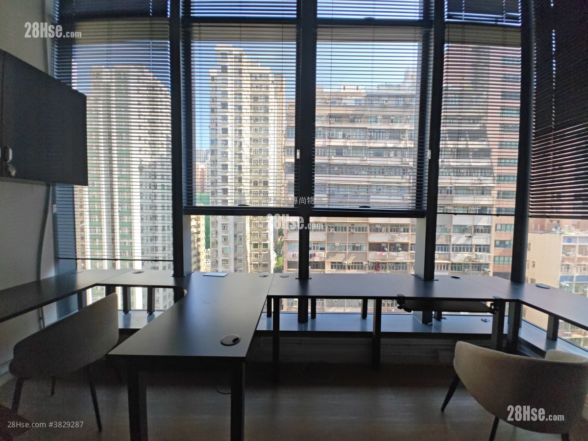 383-385 King's Road Rental