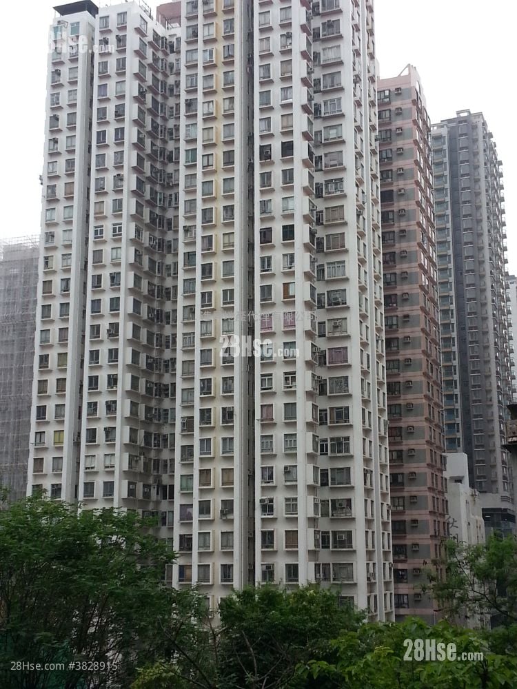 康辉大厦 售盘 1 房 , 1 浴室 249 平方尺