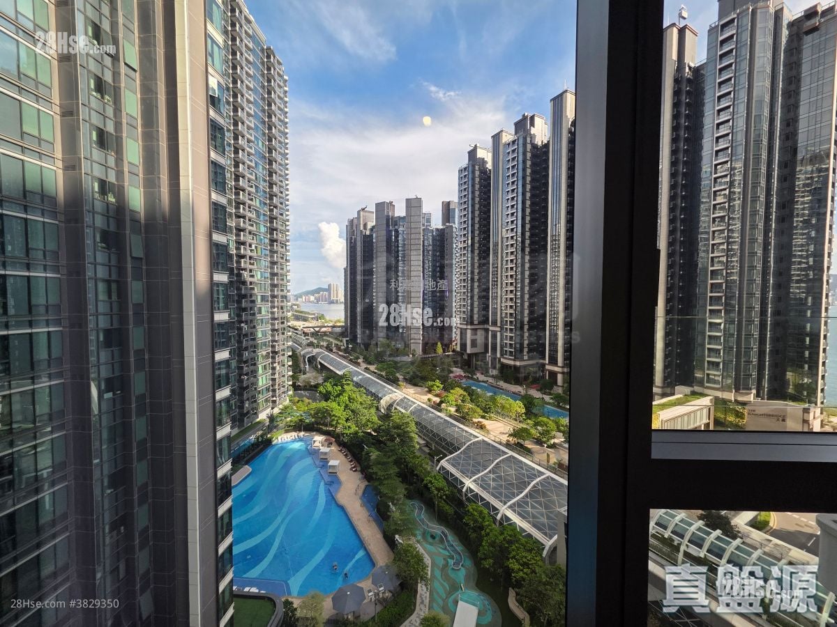 Double Coast Rental 441 ft²