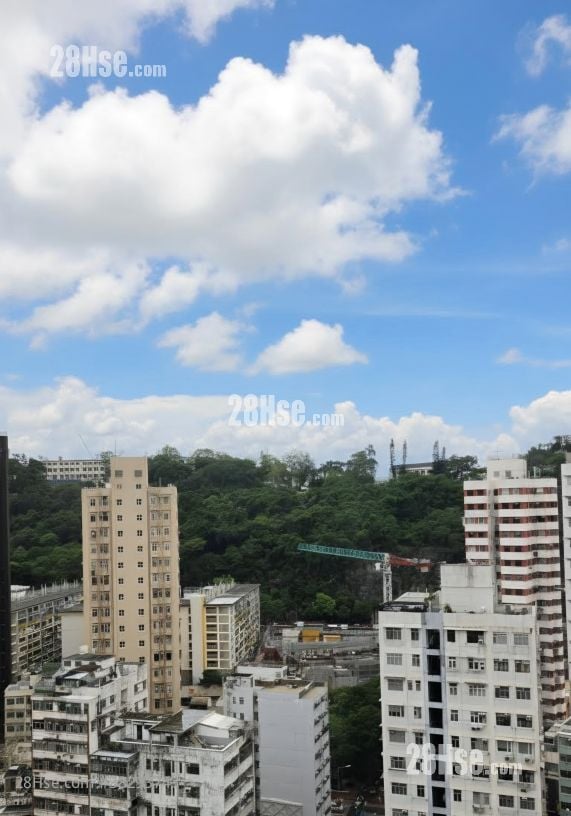 寶華大廈 租盤 1 房 , 1 浴室 215 平方呎