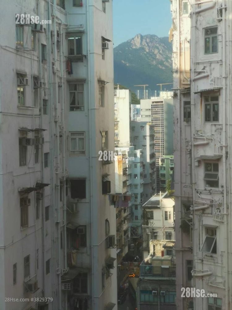 嘉怡大廈 租盤 2 房 , 1 浴室 270 平方呎