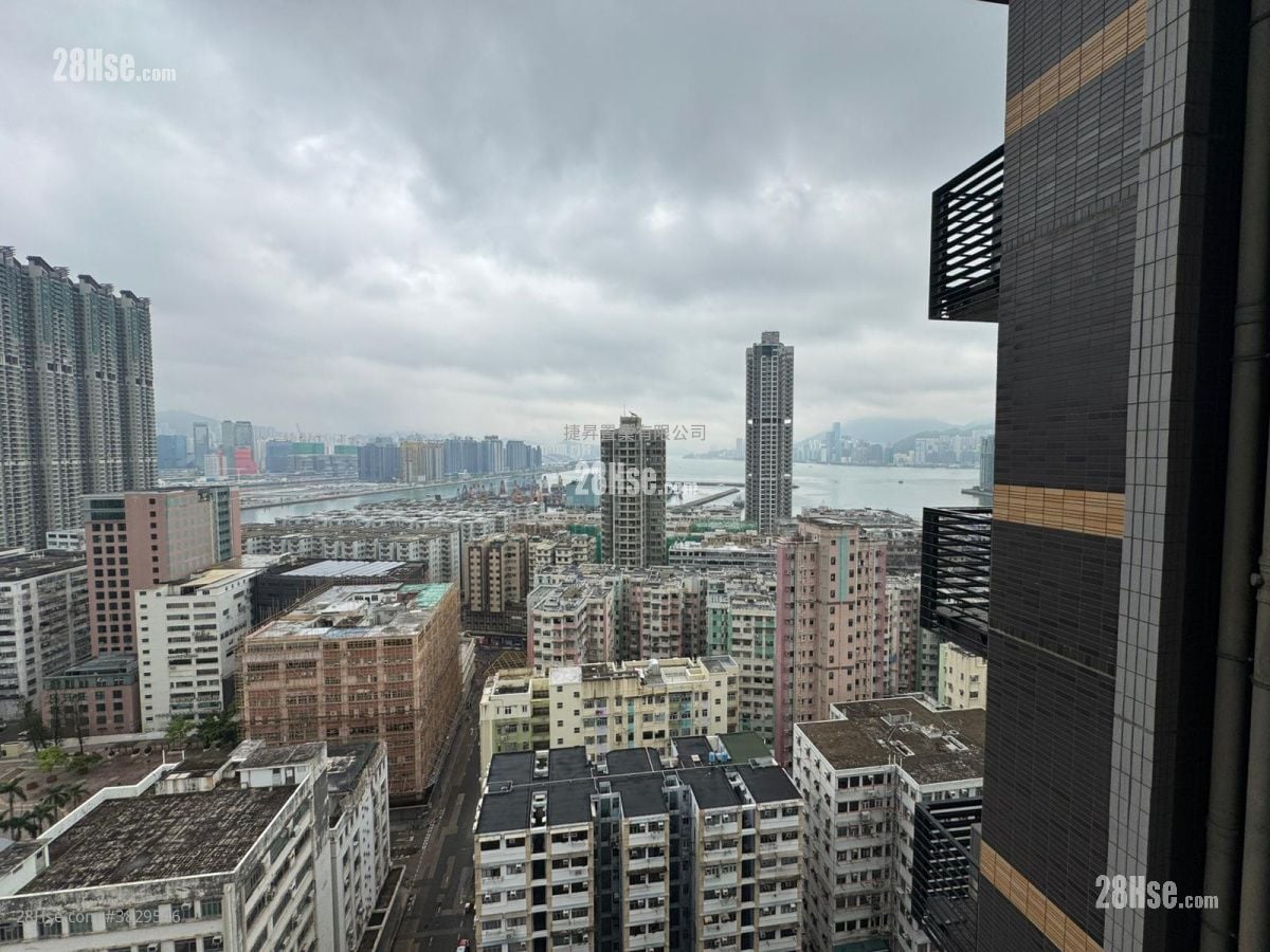 瑧尚 售盘 1 房 , 1 浴室 303 平方尺