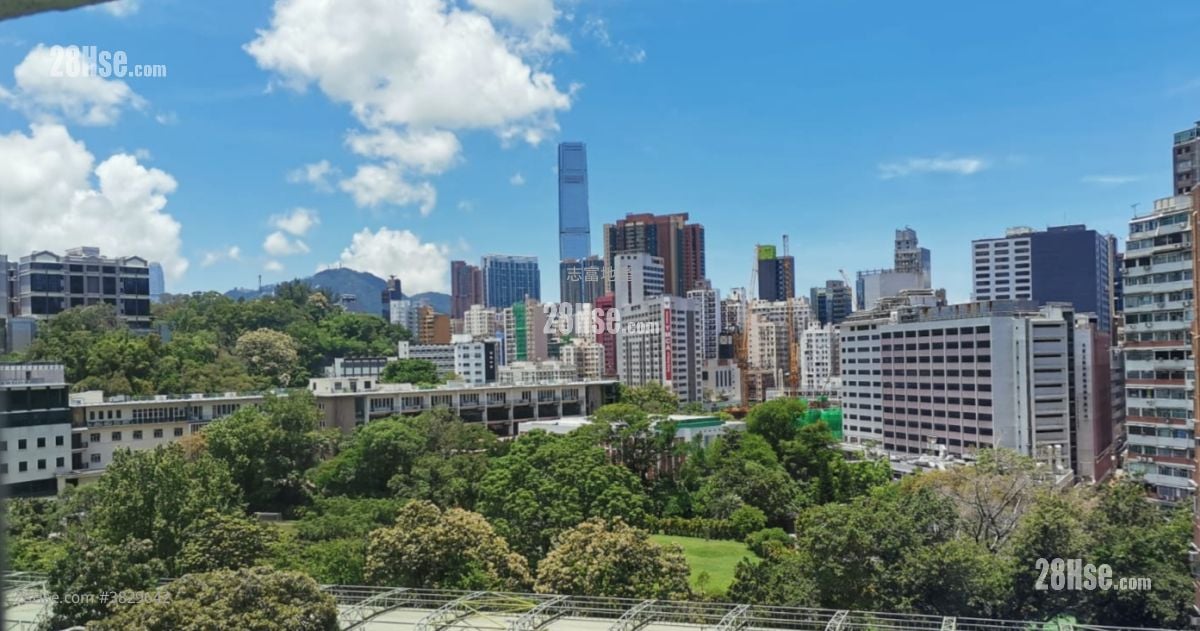 文安大廈 售盤 1 房 , 1 浴室 262 平方呎