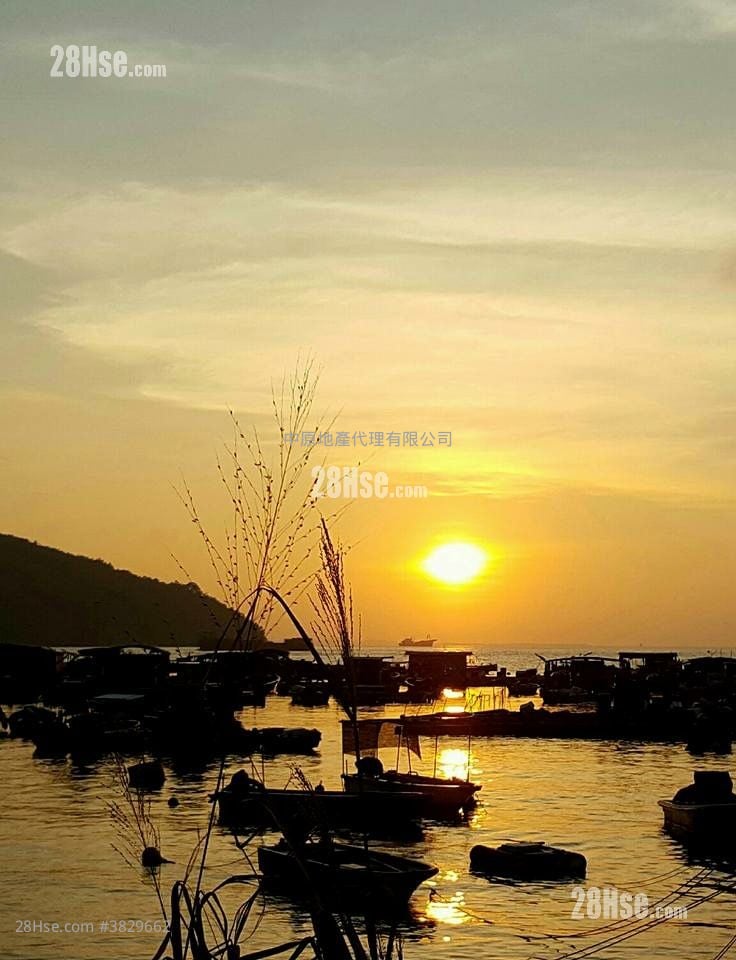 珀丽湾 租盘 1 房 , 1 浴室 378 平方尺